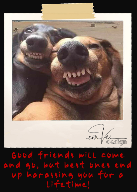 BEST FRIENDS
