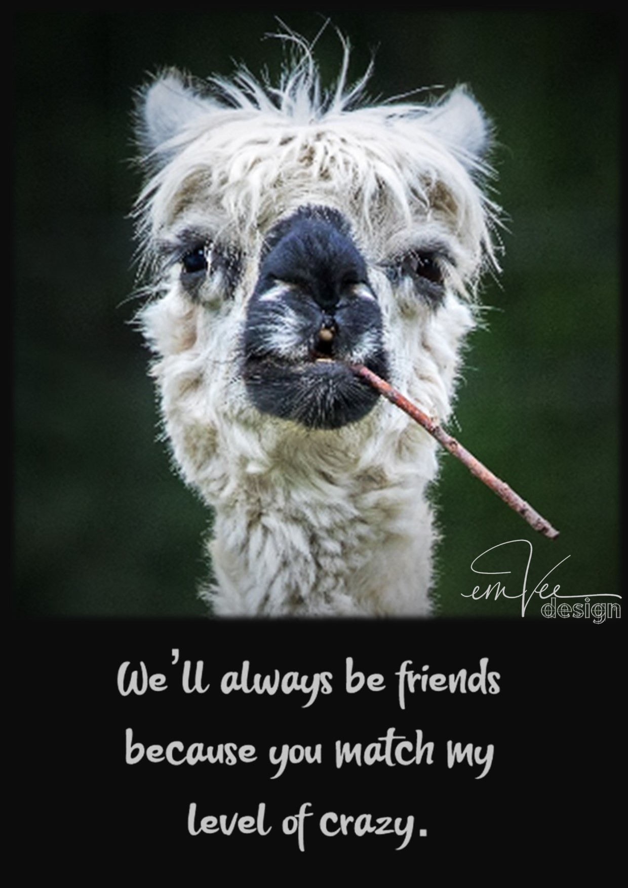 FRIENDS